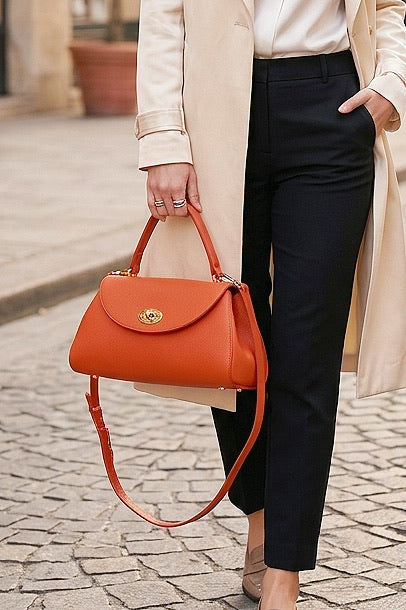 Z30979 Bag 7 Color Options